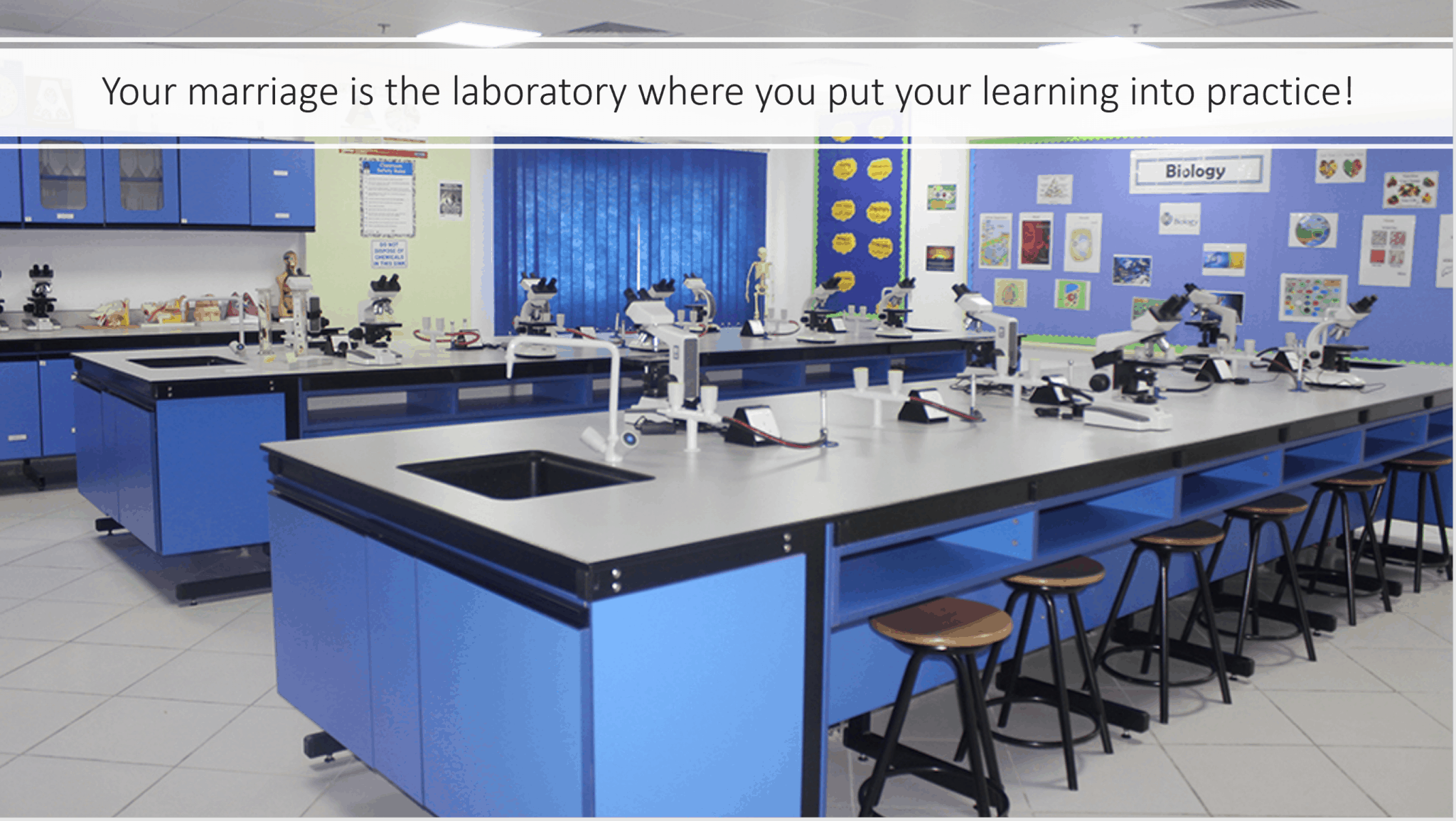 laboratory дизайн мебель радиаторы